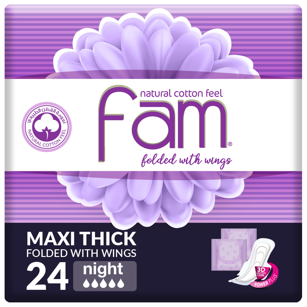 Fam Female Napkins Night Wings Economic 24 pcs