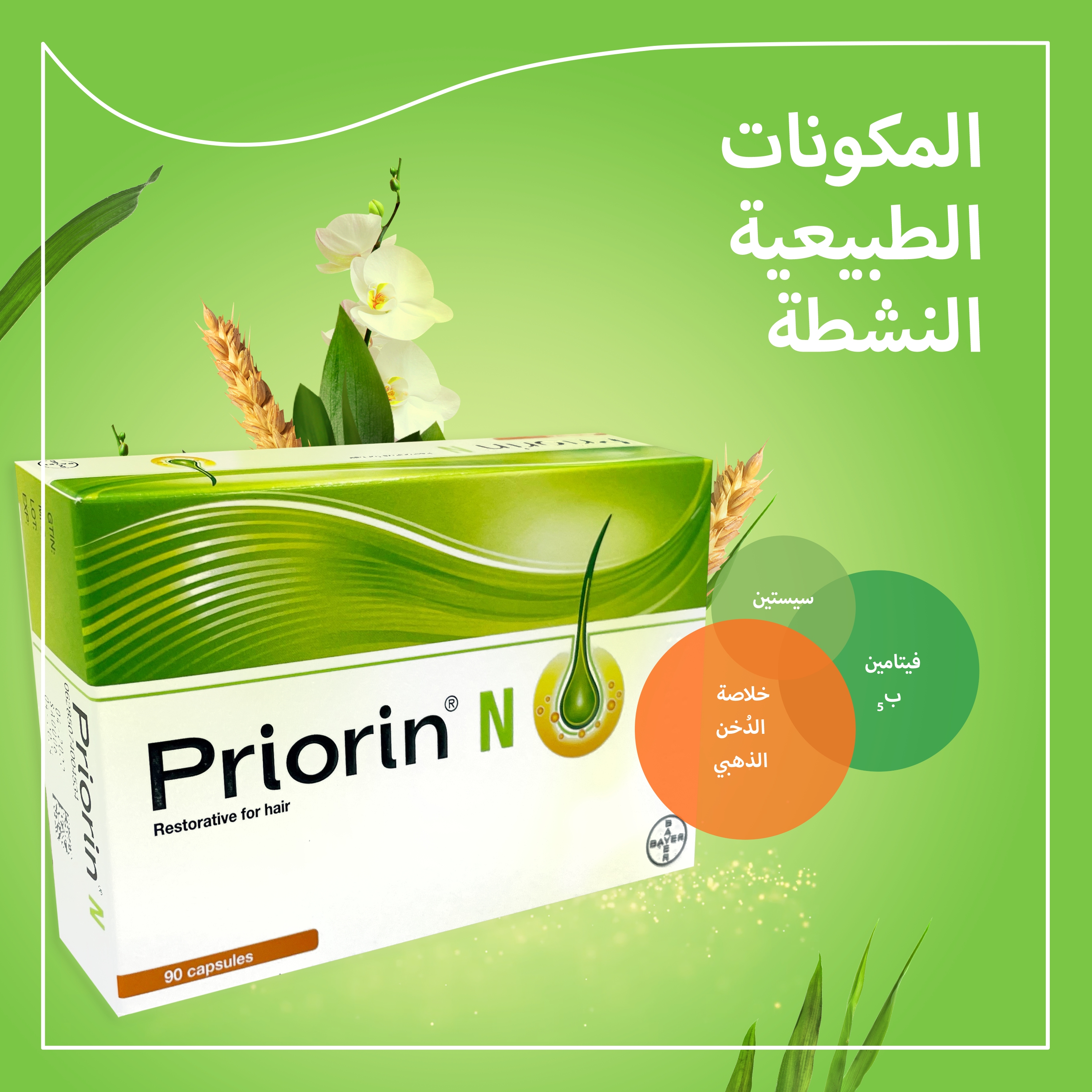 Priorin N Hair Supplement 90 Capsules – Biotin, Pantothenic Acid & Millet Extract Capsules – Supports Normal, Healthy-Looking Hair from Within, 90-Capsule Value Pack