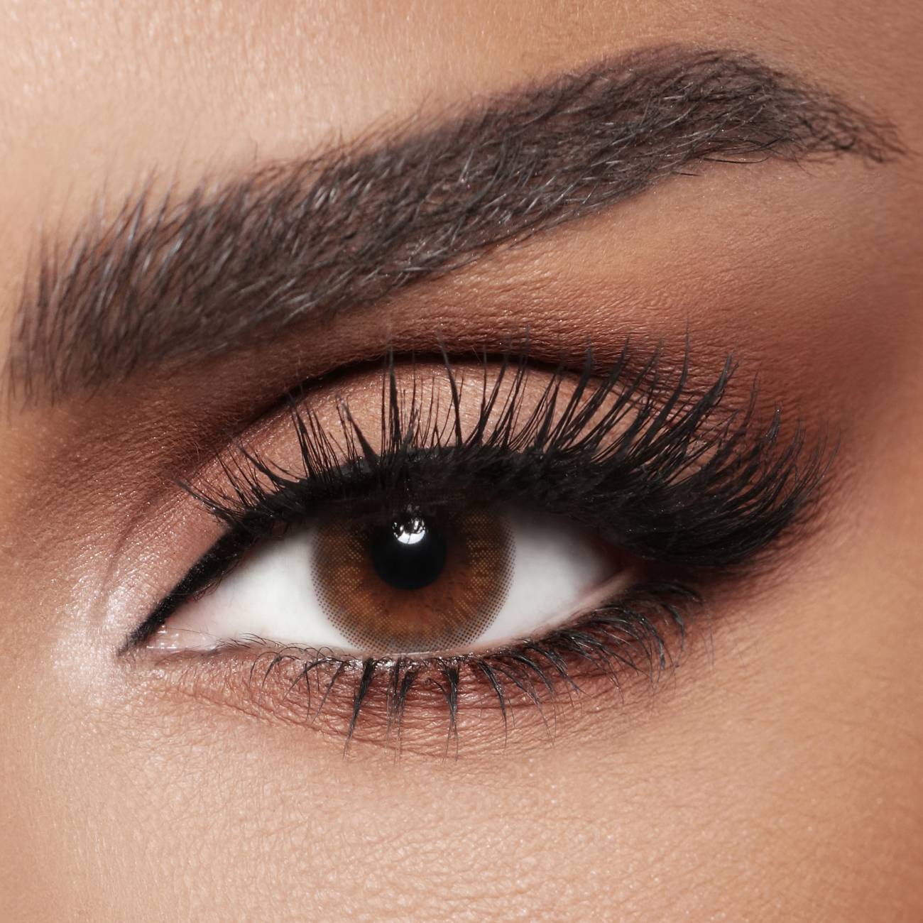 Diva Contact Lenses Woody (Power -1) - Pack of One Lense