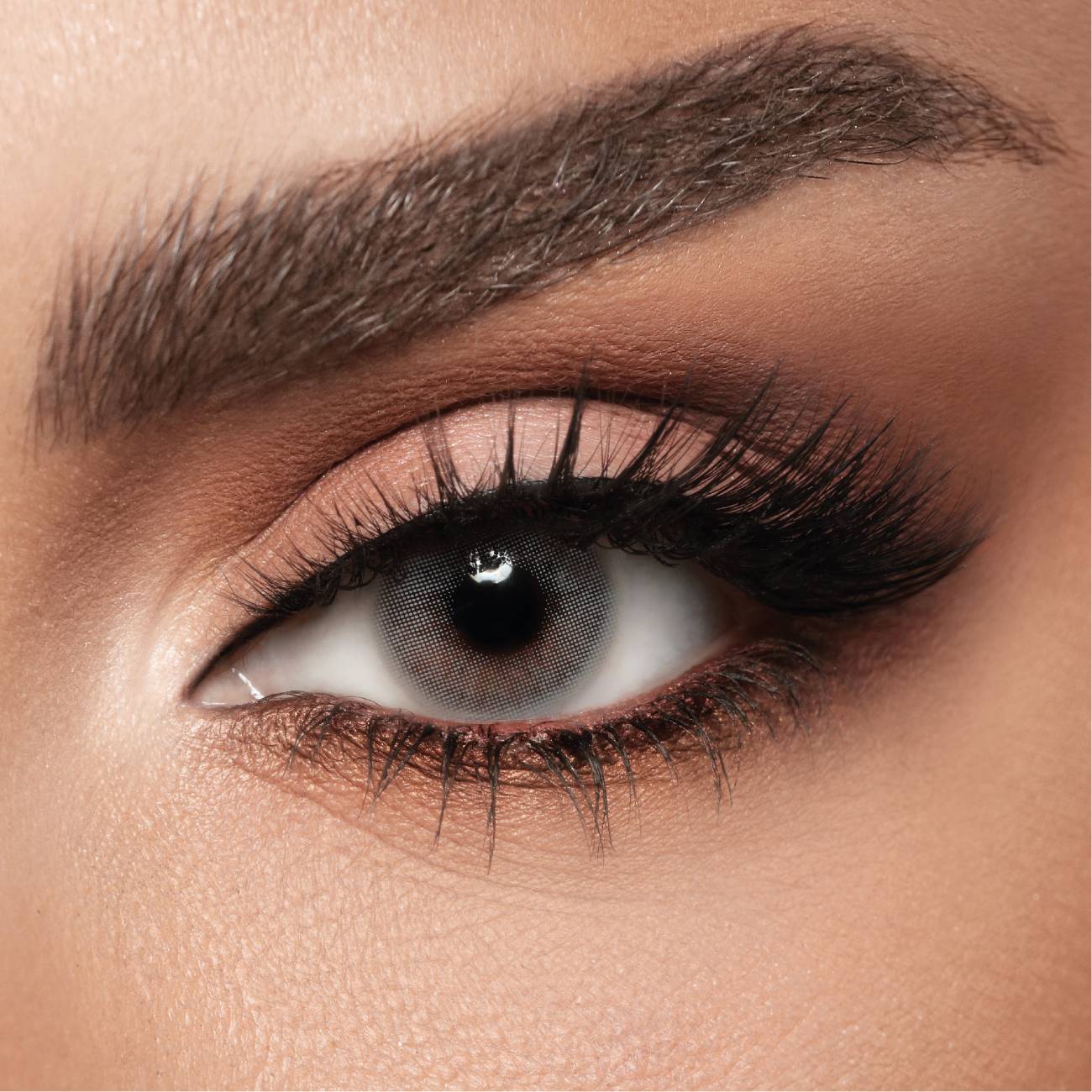 Diva Contact Lenses Navy (Power -0.75) - Pack of One Lense