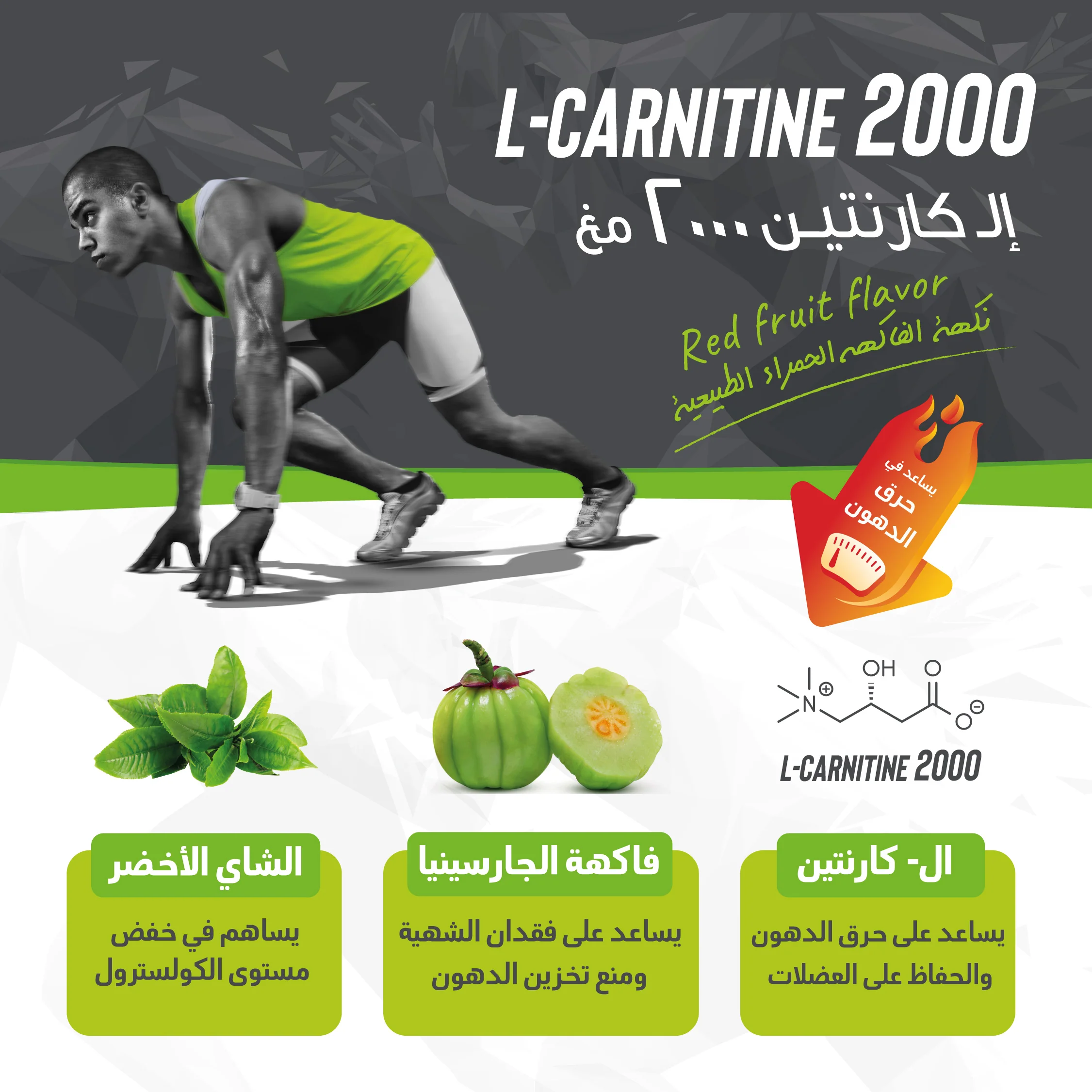 que es l carnitina efectos secundarios L Carnitina - Para Qu Sirve? Beneficios Y Usos
