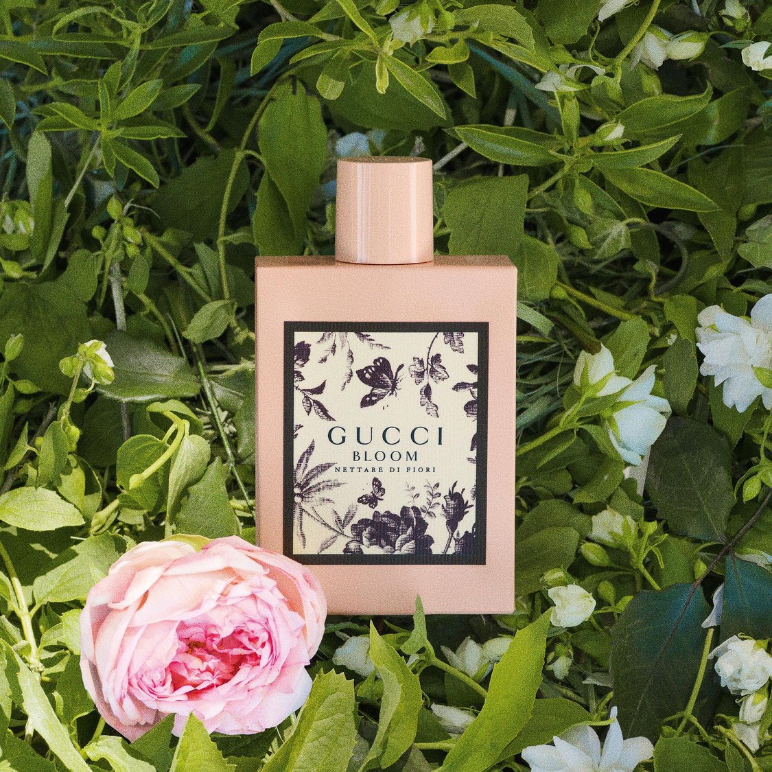 Gucci Bloom Nettare Di Fiori Eau de Parfum for Women - 100 ml | Nahdi