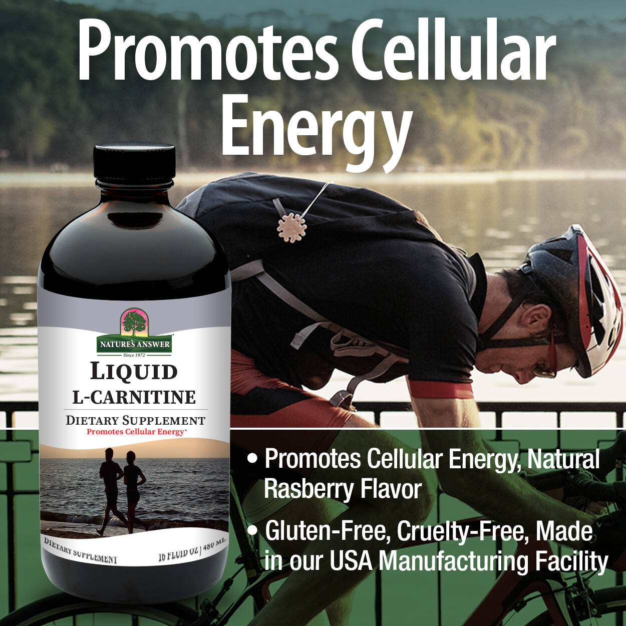 nature made l carnitine Nature's Answer Liquid L-Carnitine 473 mL (16 oz)