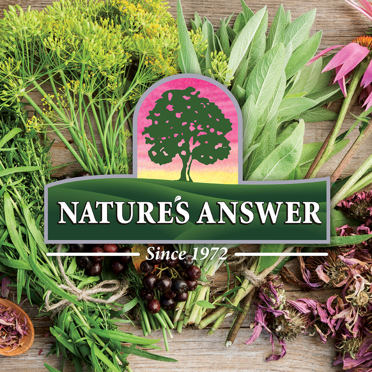 brocco glutathione stool Nature's Answer Brocco-Glutathione 60 Veg Capsules
