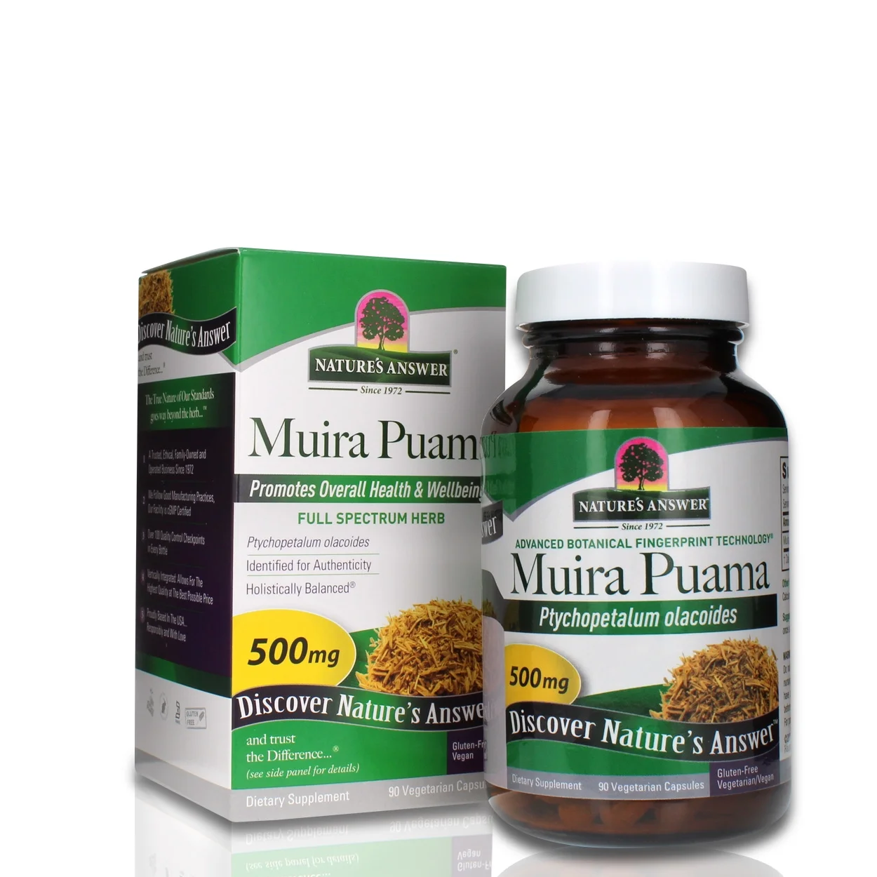 base