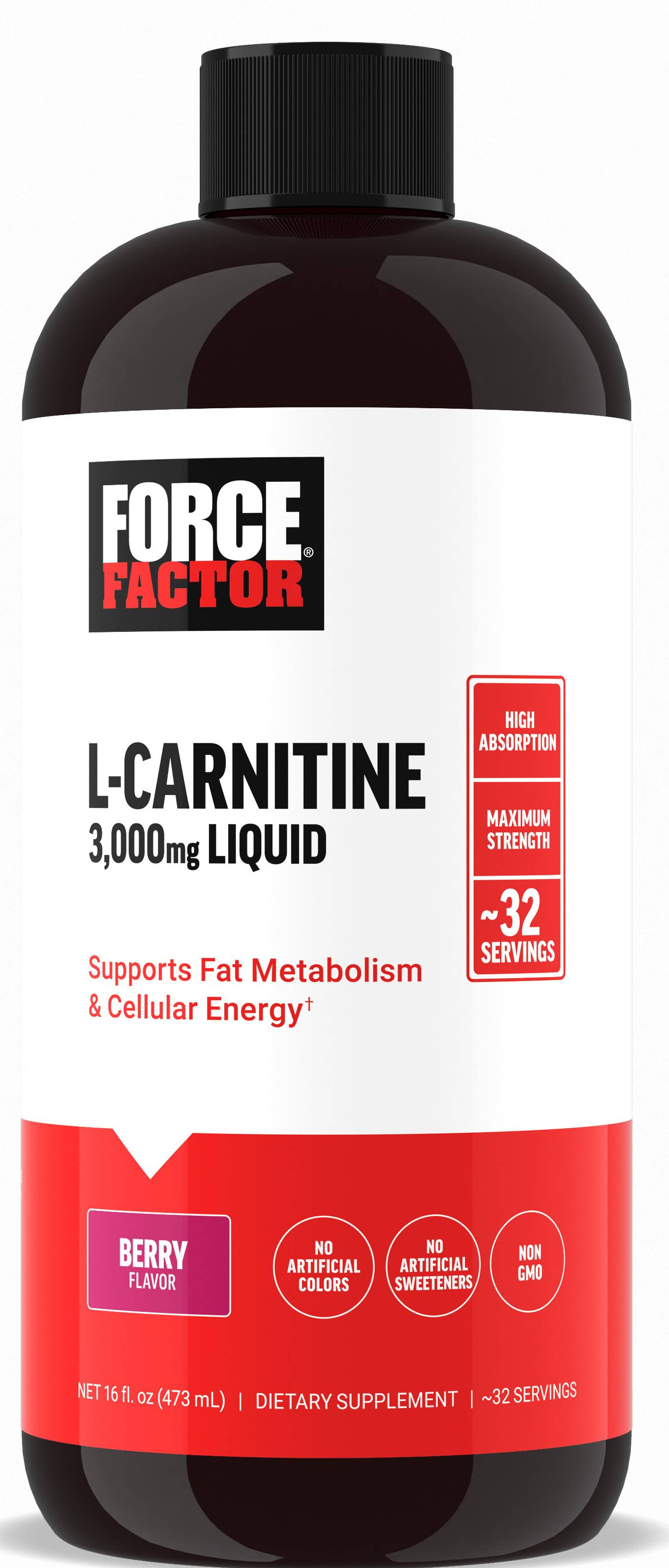 l carnitine plus green coffee extract reviews Green Coffee & L-Carnitine Capsules 60 x 600mg