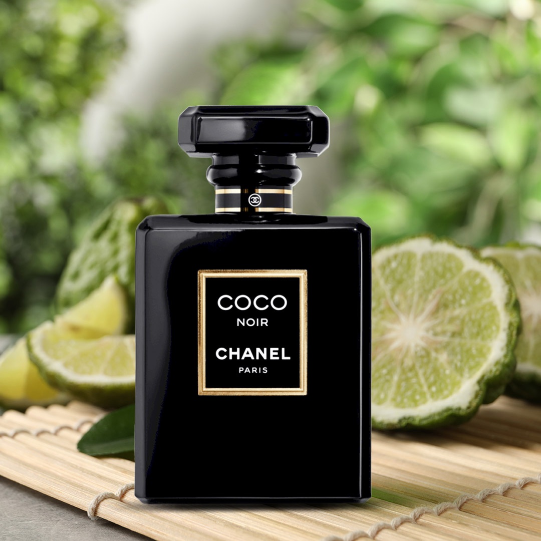 Chanel Coco Noir Eau de Parfum for Women - 50 ml | Nahdi