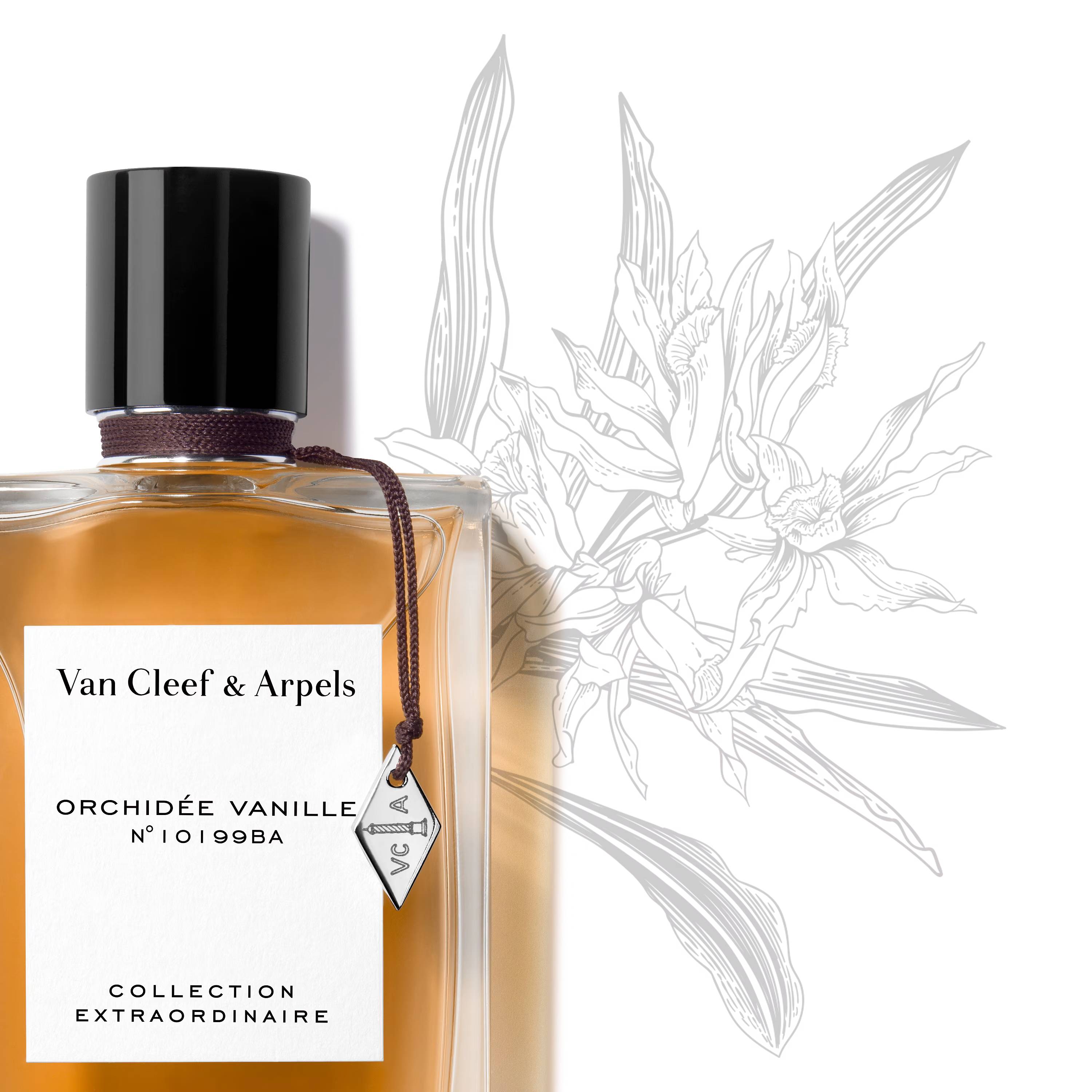 Van Cleef & Arpels Orchidee Vanille Eau de Parfum for Women - 75