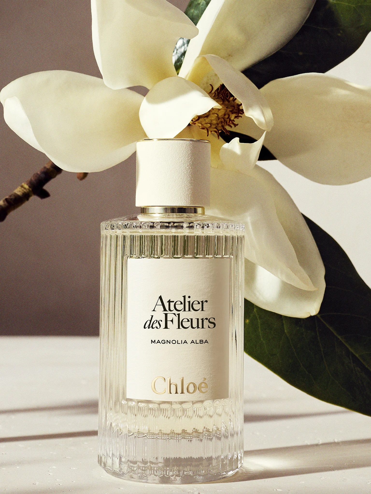 Chloe Atelier Des Fleurs Magnolia Alba Eau de Parfum for Women
