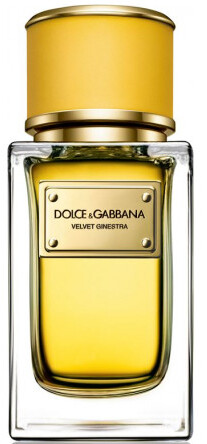 Dolce & Gabbana Velvet Ginestra Pour Femme 150 ml