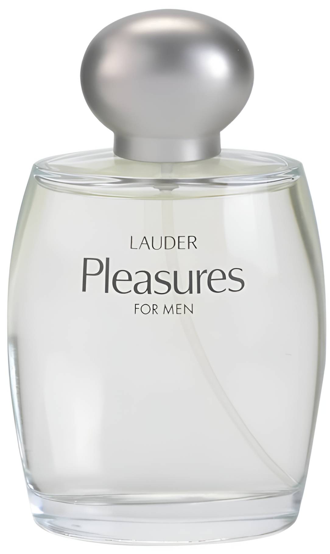 Estée Lauder Lauder 100 ml