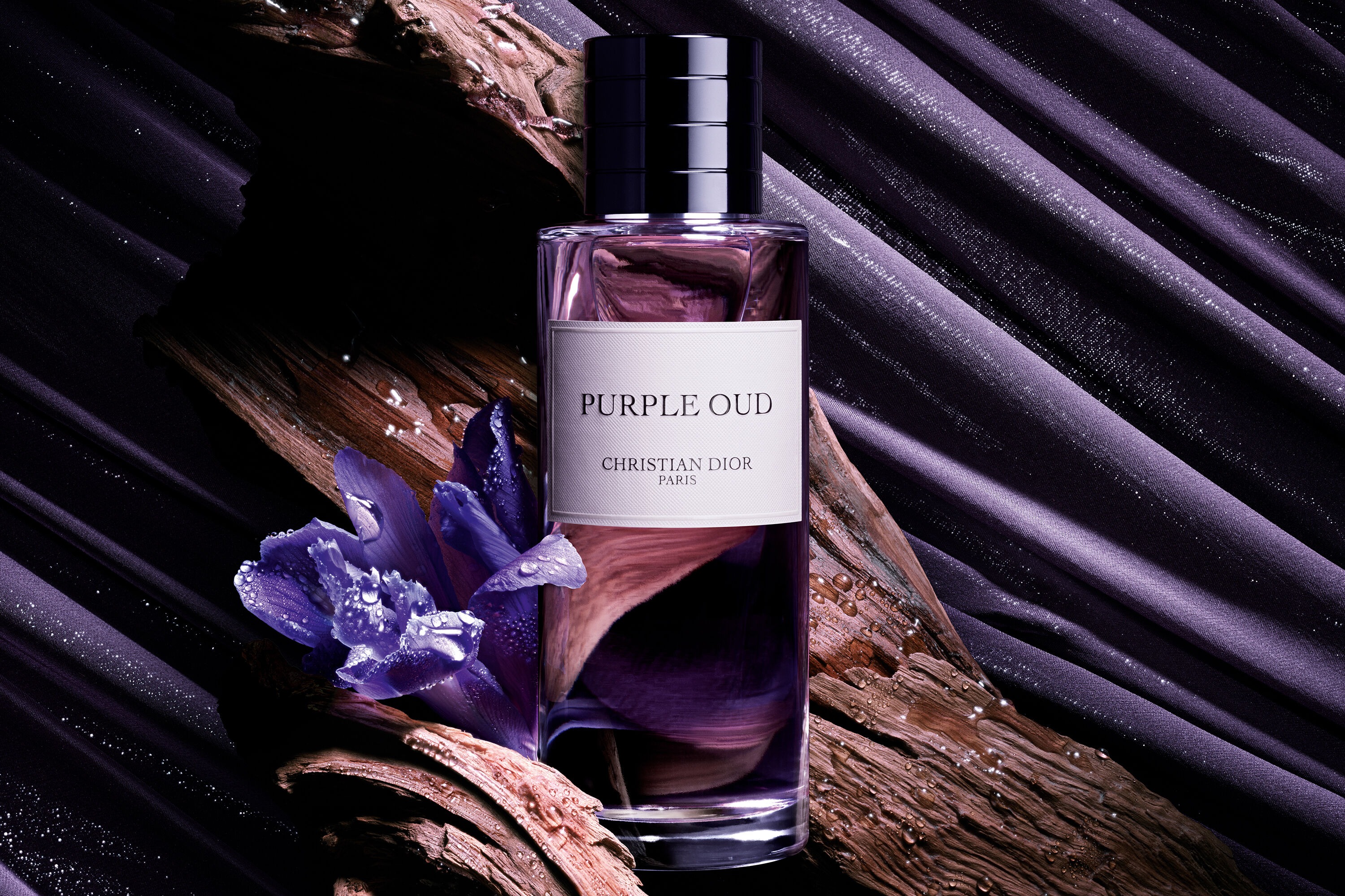 Christian Dior Purple Oud Eau de Parfum Unisex - 250 ml | Nahdi