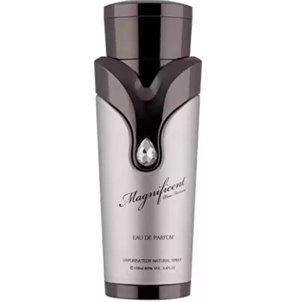 Armaf Magnificent Pour Homme 100 ml