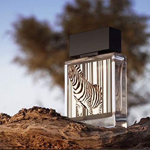 Rasasi Rumz Al Rasasi 9325 Zebra Pour Elle Eau de Parfum for Women