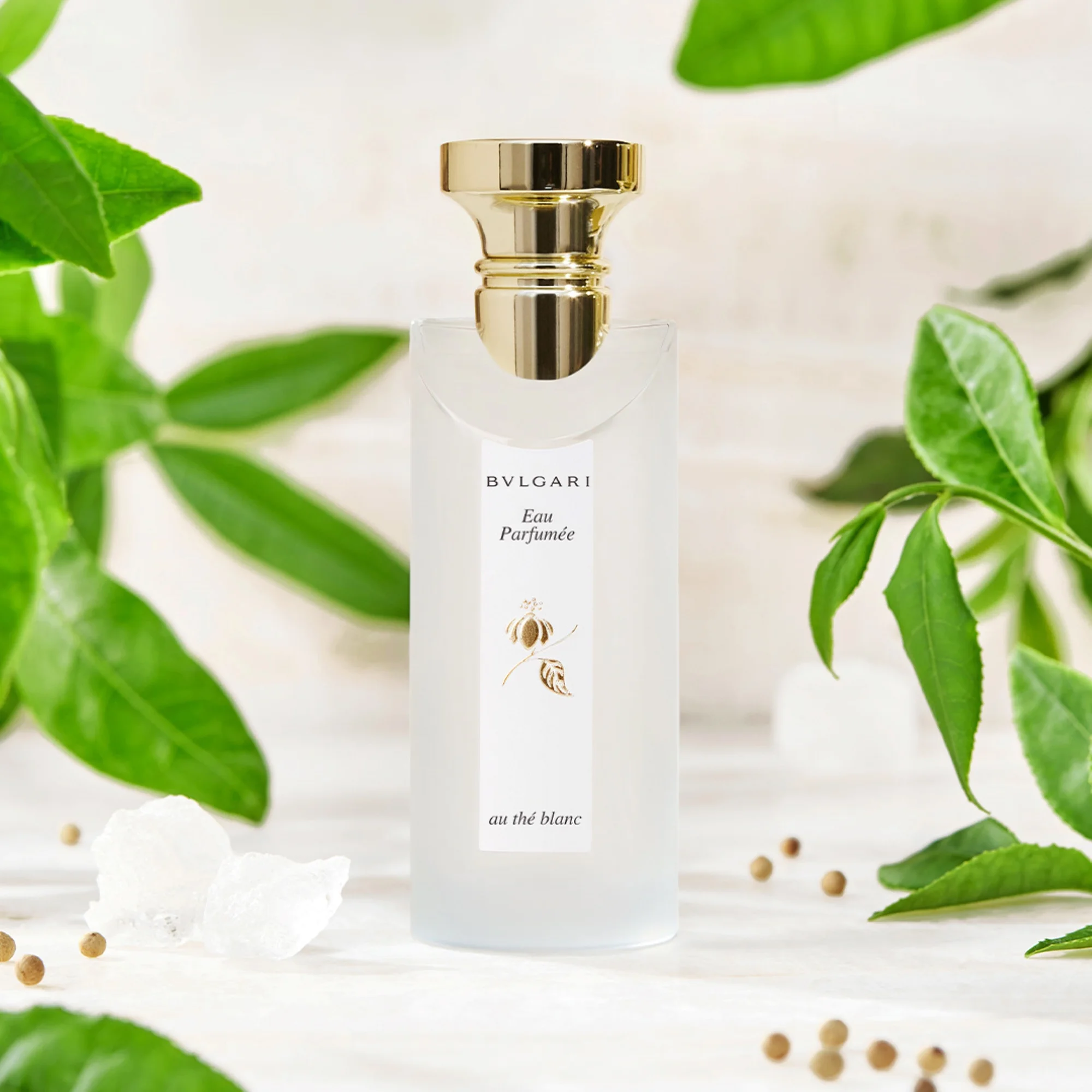 Bvlgari Eau Parfumee Au The Blanc Eau de Cologne Unisex - 75 ml
