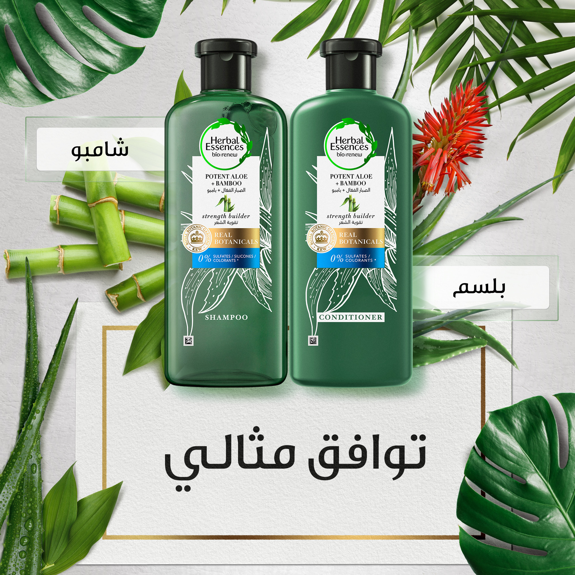 Herbal Essences sulfate free potent aloe vera with bamboo natural shampoo  for dry hair, 400 ml | Nahdi