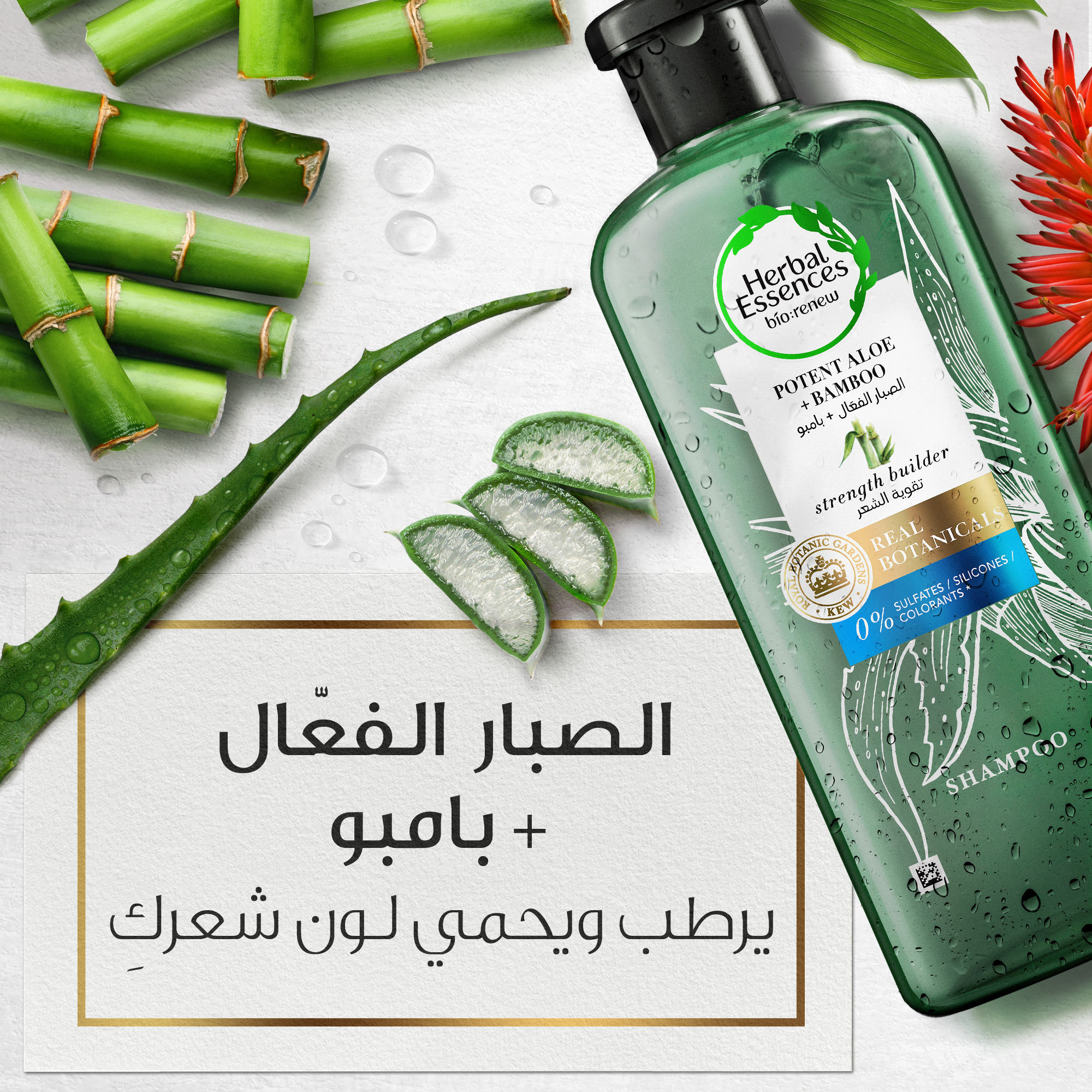 clean aloe vera Gentle Aloe Vera Face Cleanser for Radiant Skin
