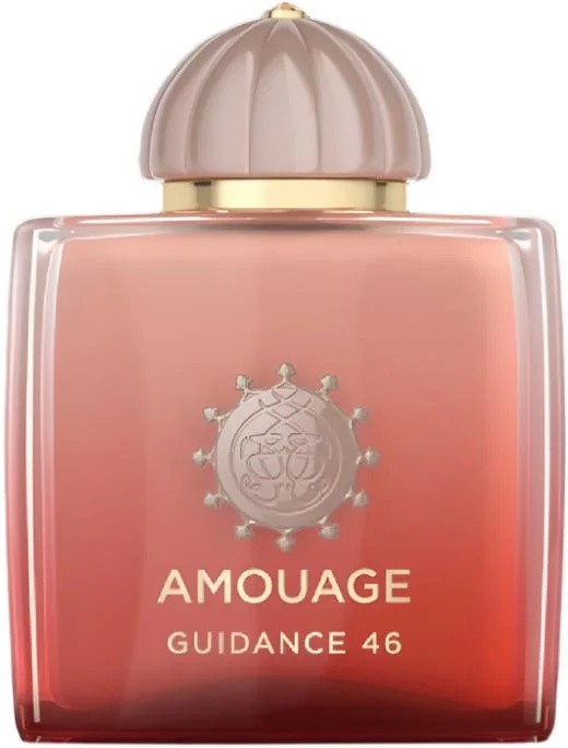 Amouage Guidance 46 100 ml