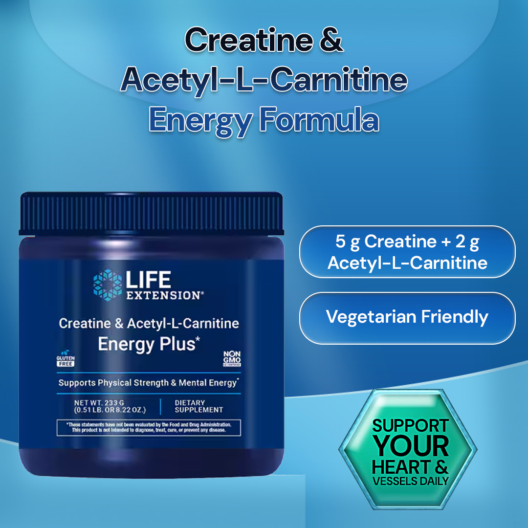 Life Extension Creatine Acetyl-L-Carnitine Energy Plus - 0.51 lb