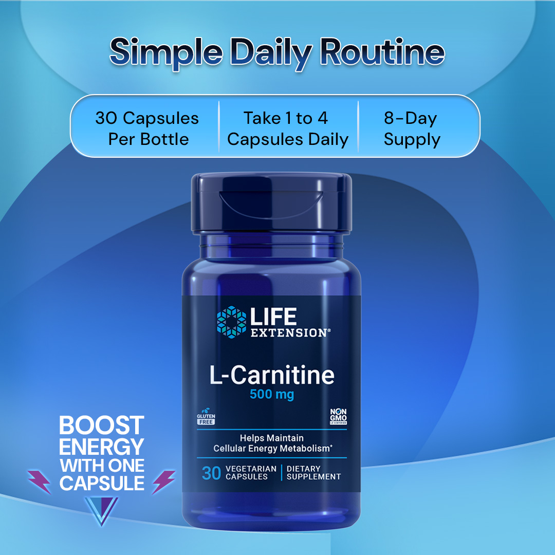 life extension l carnitine L-Carnitine 500 mg - 30 Veg Capsules NAC Supreme Caps | Crème visage queen classic Flavor:Sour Watermelon