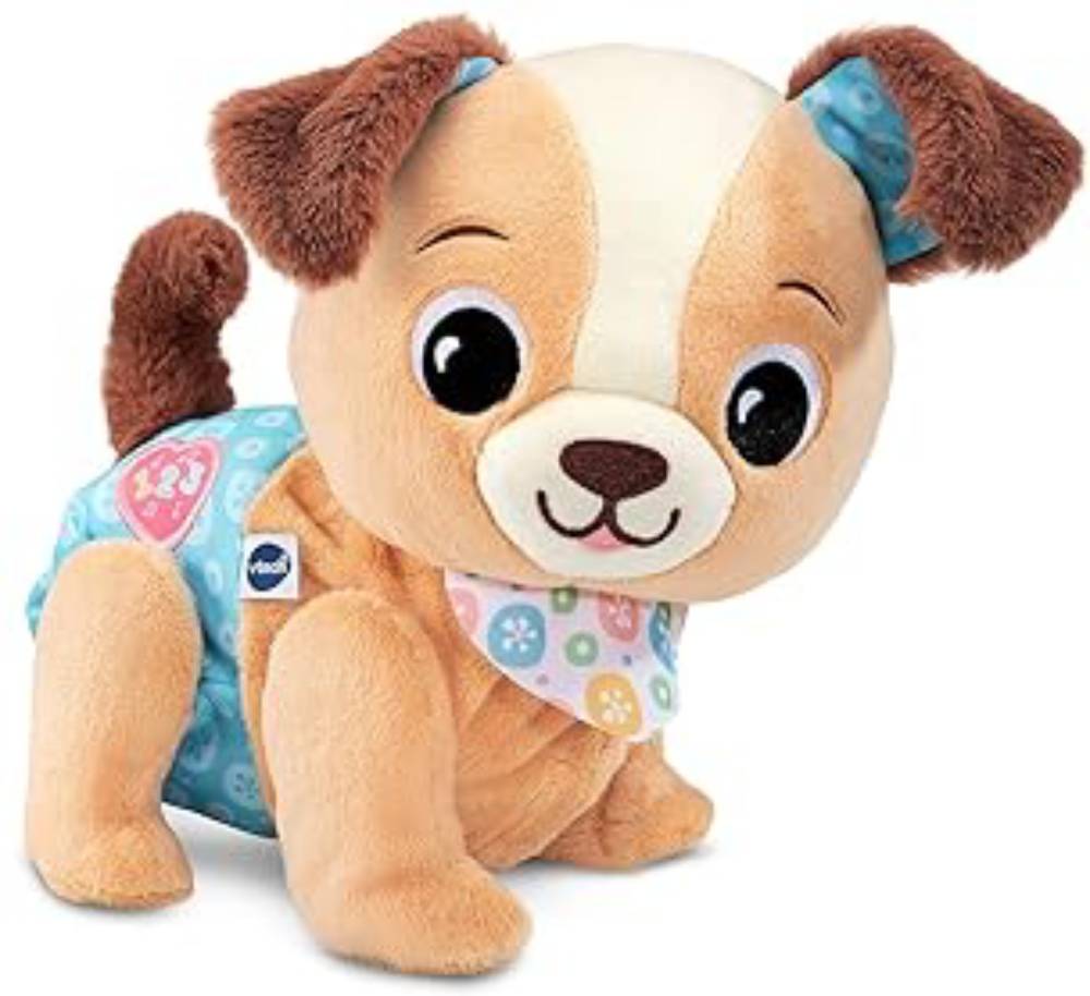 Vtech Explore & Move With Puppy (Vtus)