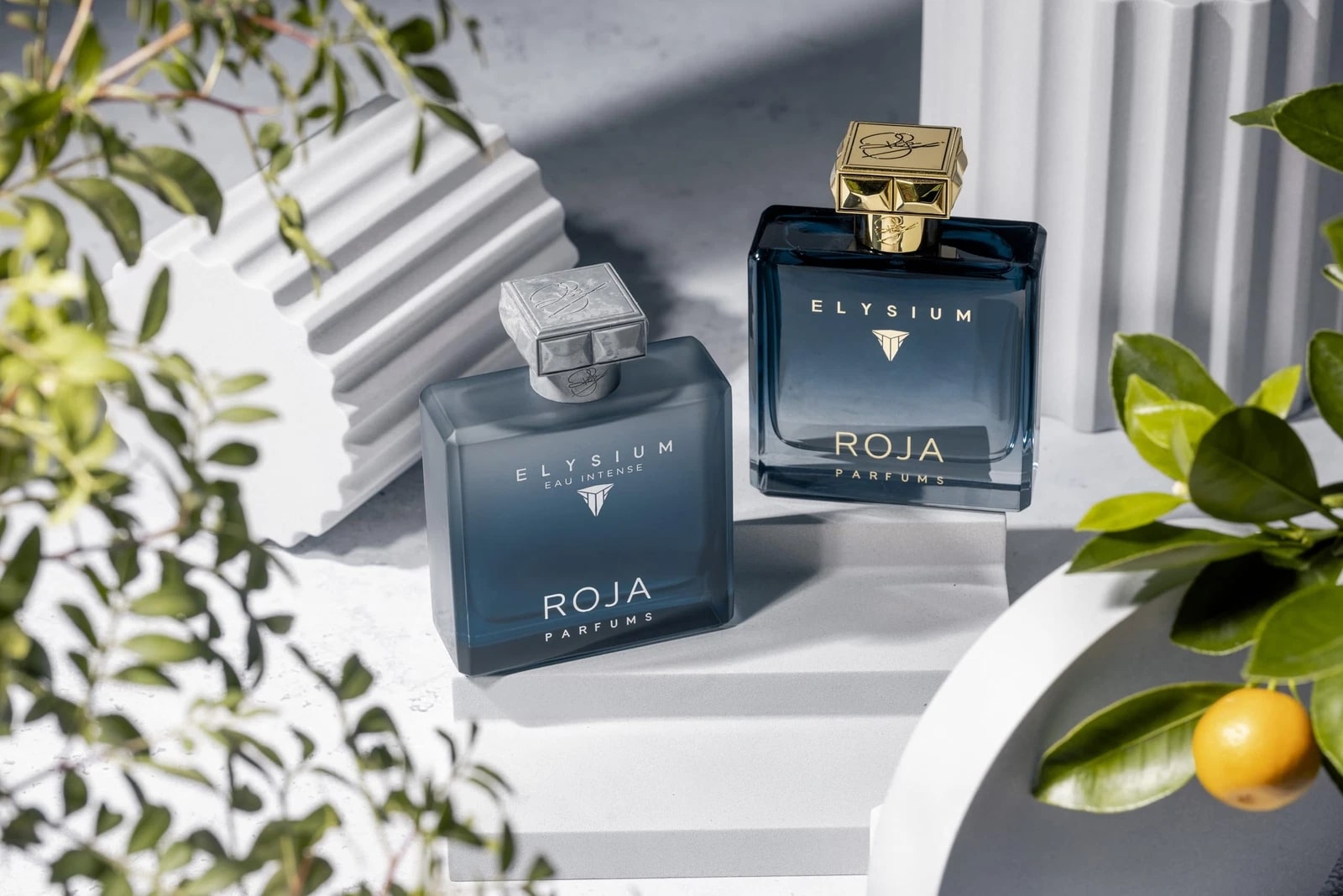 Roja Parfums Elysium Eau Intense for Men - 100 ml | Nahdi