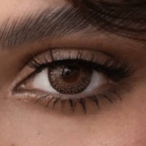 Amara Daily Color Contact Lenses - Barbie Brown