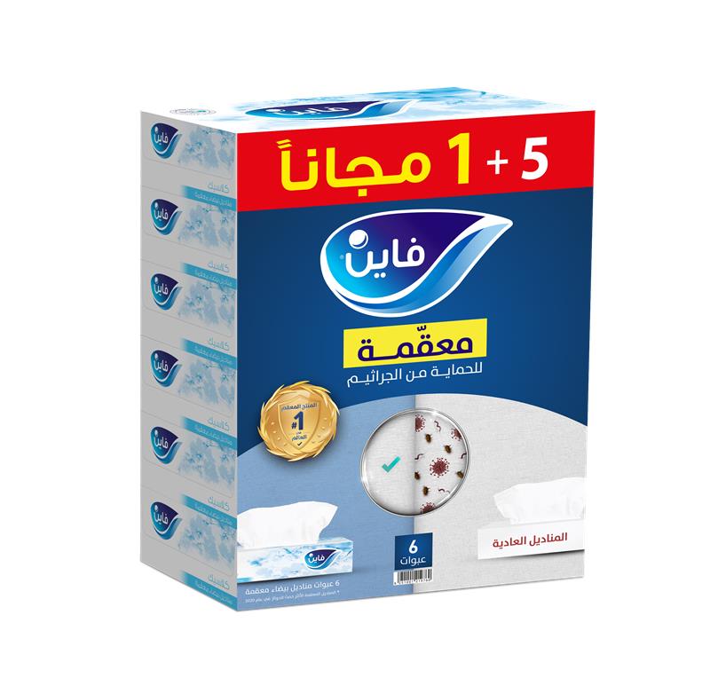 Fine Facial Tissues Duplex Classic 5+1 (70x2 Plies)