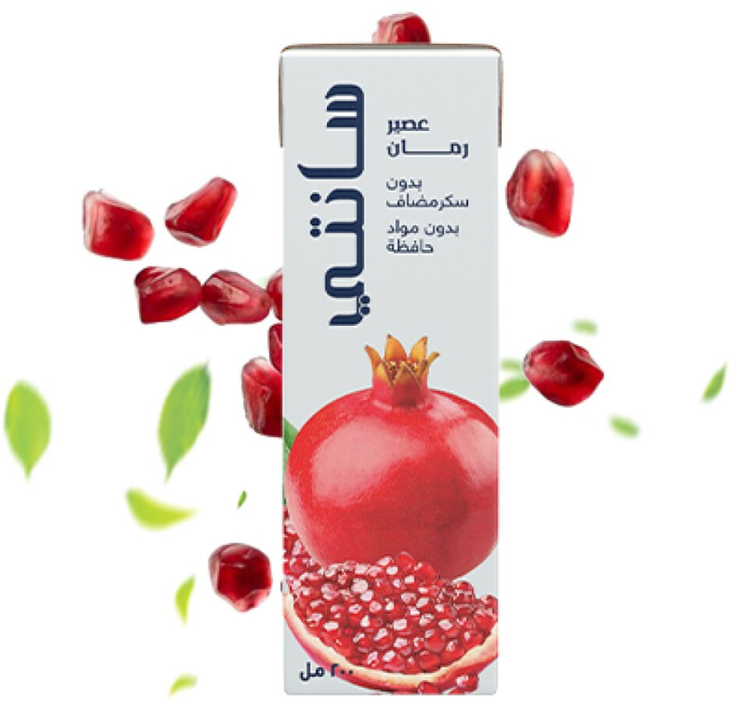 Sante Pomegranate Juice 24 pack -  200 ml
