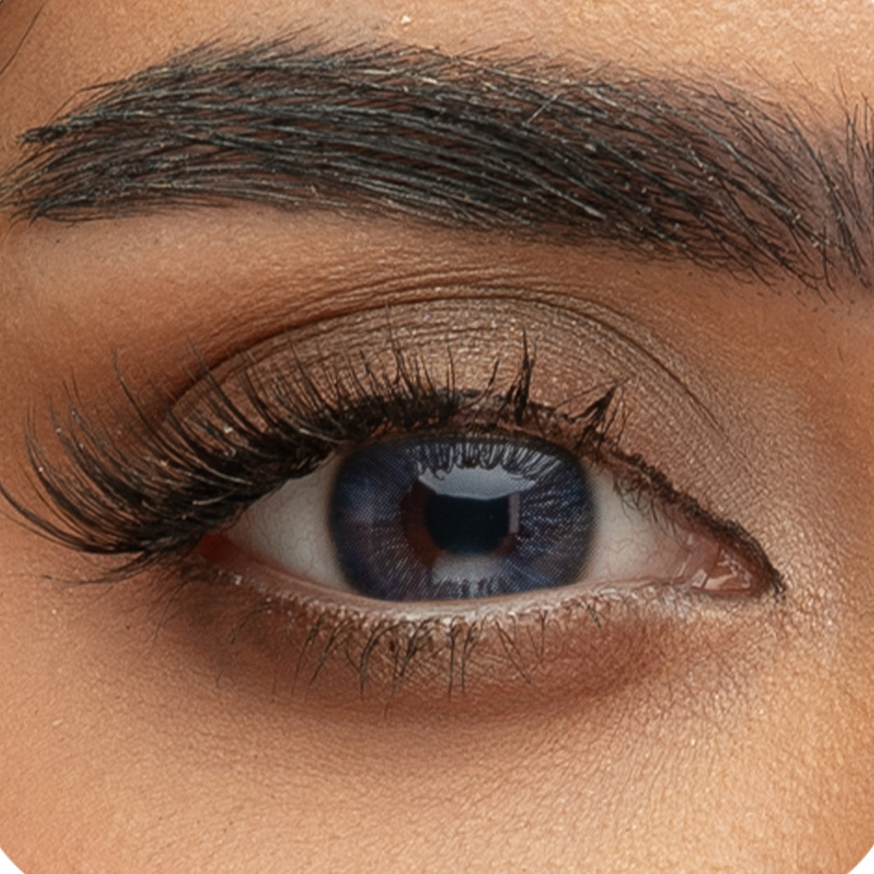 Sama Ash Marine Daily Contact Lenses