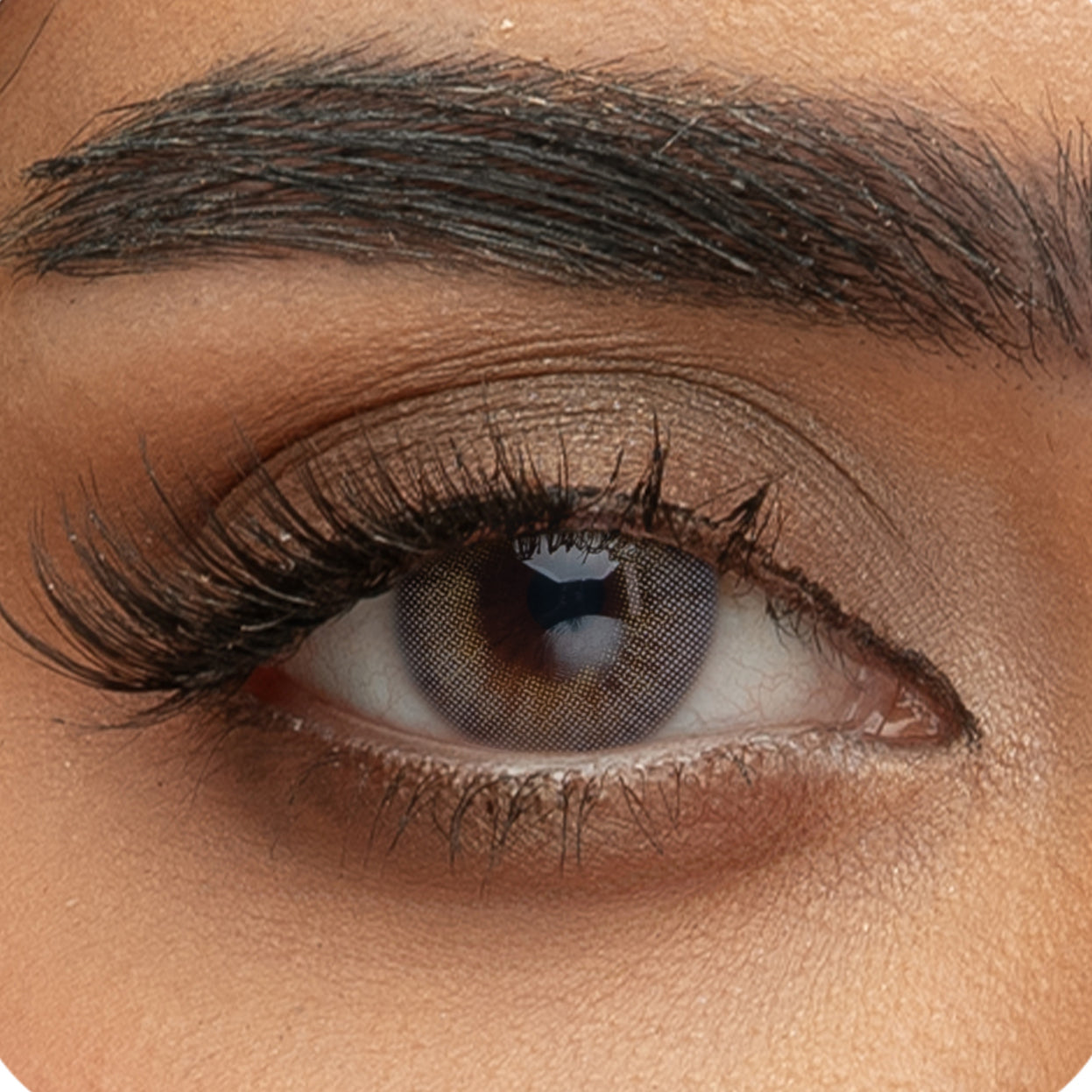 Sama Smokey Lun Daily Contact Lenses