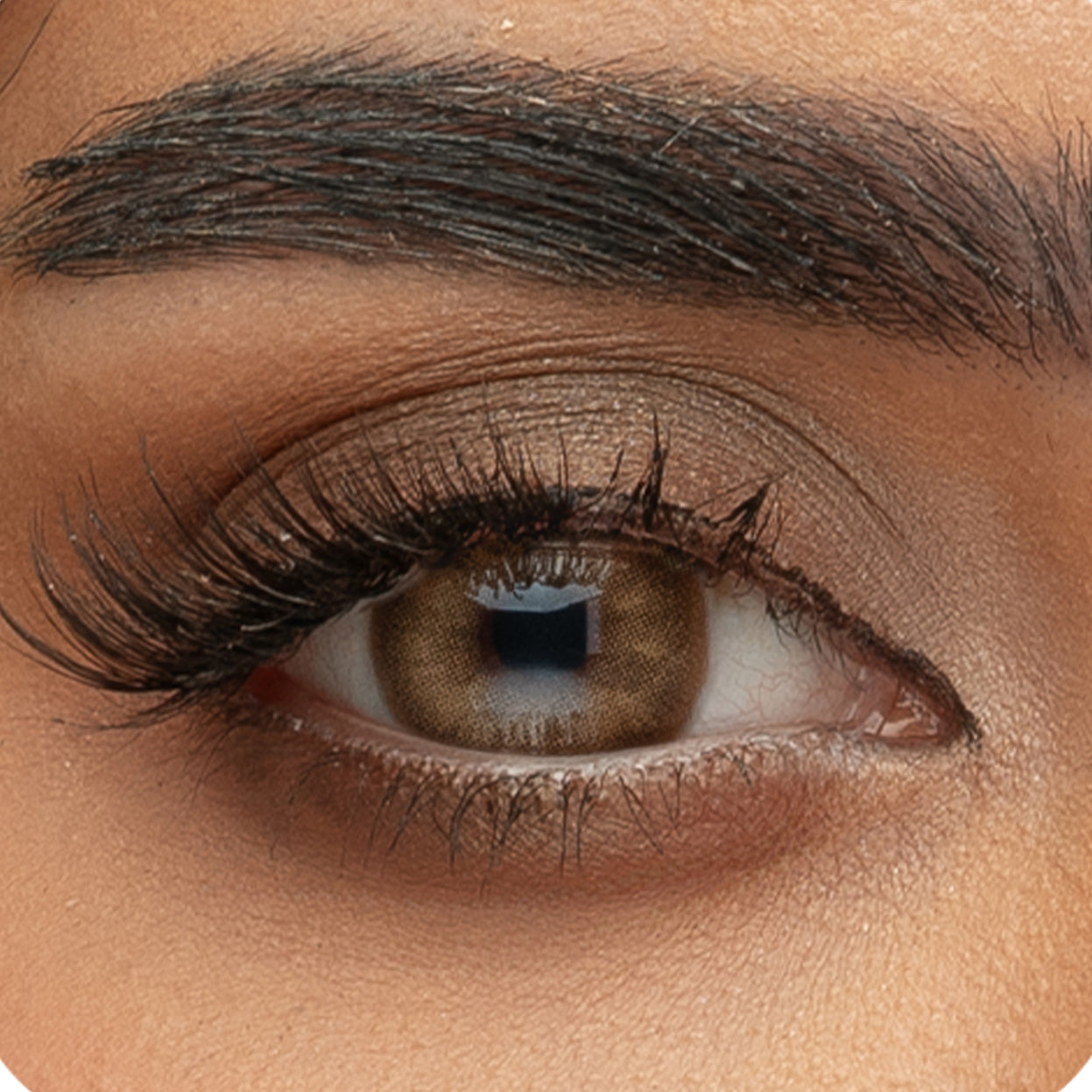 Sama Signature Daily Contact Lenses