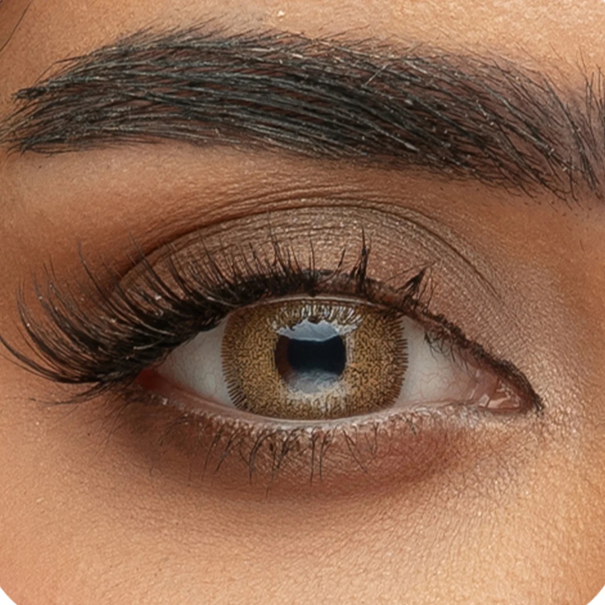 Sama Lenses Daily 1 Pair - Brown Gray