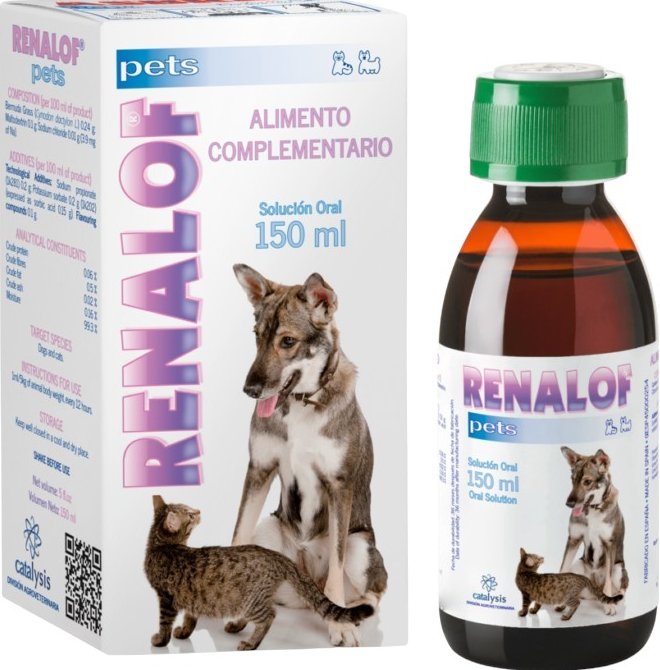 Catalysis Renalof Syrup - 150 ml
