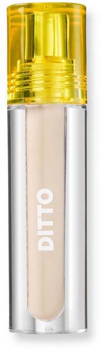 Trouble Maker Ditto Radiant Concealer - Fidget