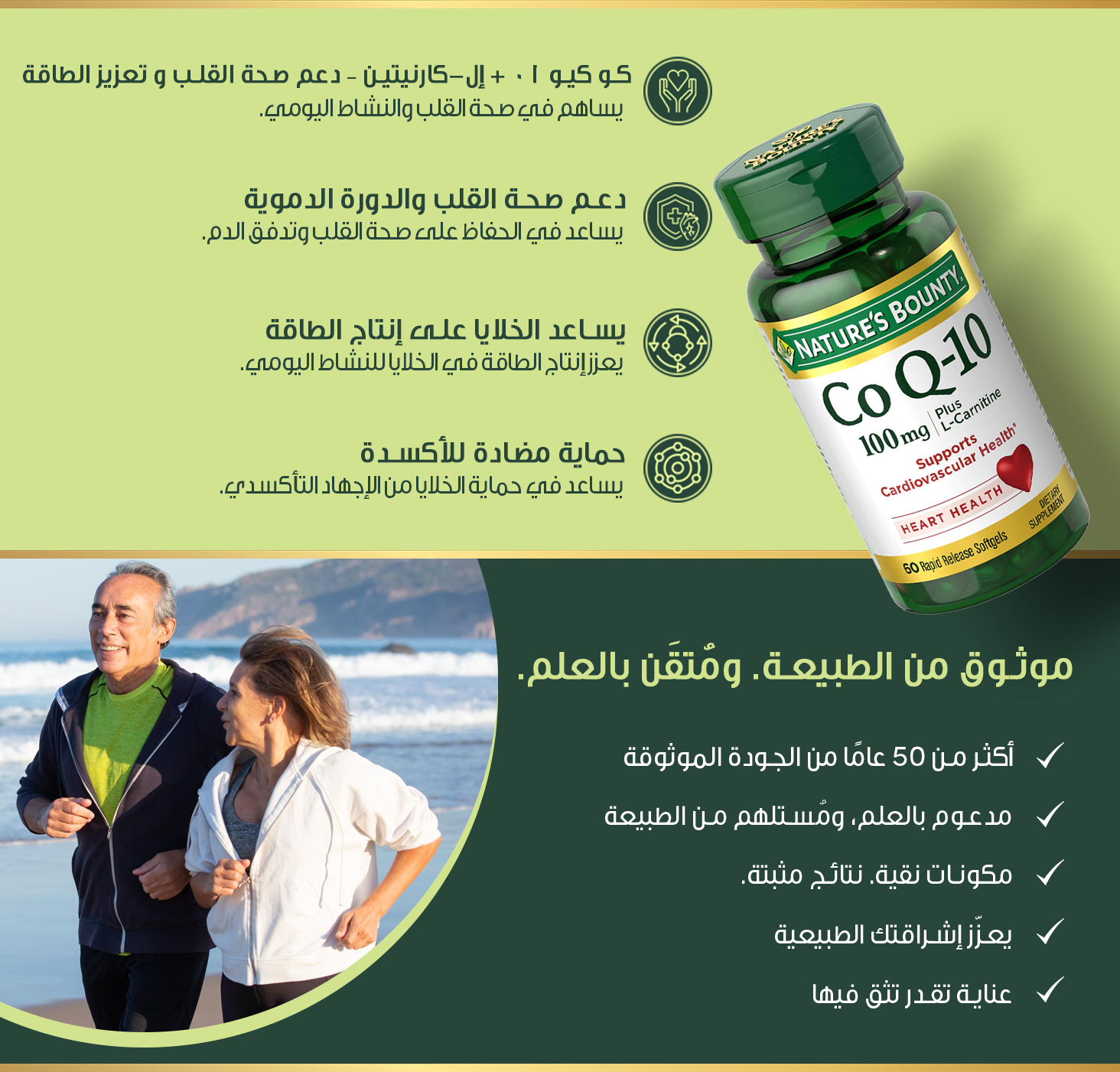 l carnitine with coq10 ما هو إل-كارنتين؟ كيف يمكن أن يفيد في إدارة الوزن؟ main image 1