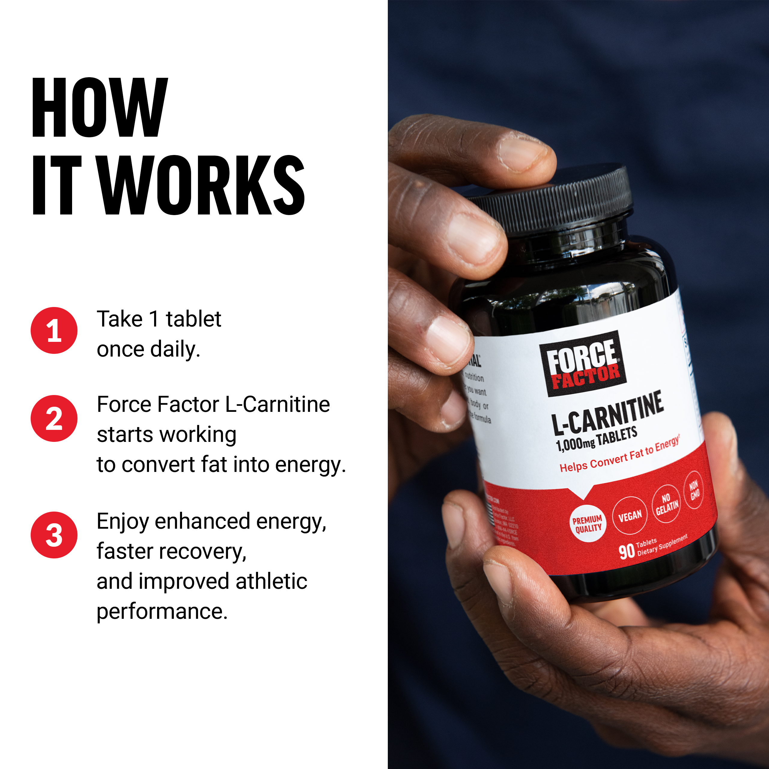 best quality l carnitine L-Carnitine – ProSupps.com